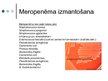 Prezentācija 'Antibiotika - meropenēms', 8.