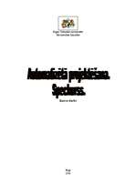Referāts 'Tērauda kolonnas un sijas projektēšana programmā Lira-STC', 1.
