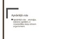 Prezentācija 'Apkārtējā vide un ētika', 2.