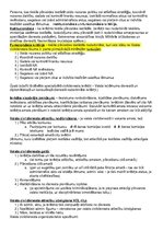 Konspekts 'Publiskas personas personālu veido trīs nodarbināto grupas', 3.