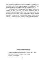 Referāts 'Maksātnespēja, tās prognozēšana un sekas', 9.