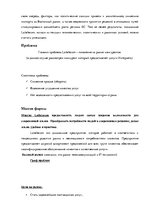 Referāts 'Маркетинговое исследование "Lattelecom"', 7.