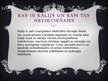 Prezentācija 'Kālijs', 3.