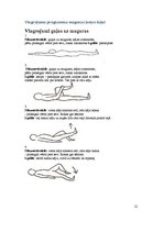 Konspekts 'Starpskriemeļu diska trūce', 13.