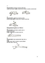 Konspekts 'Starpskriemeļu diska trūce', 18.