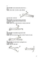Konspekts 'Starpskriemeļu diska trūce', 19.