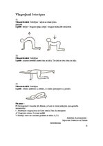 Konspekts 'Starpskriemeļu diska trūce', 20.