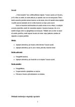 Prakses atskaite 'Baznīcas Tukuma rajonā', 2.