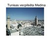 Konspekts 'Ziemeļāfrikas reģions. Tunisija', 13.