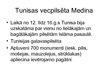 Konspekts 'Ziemeļāfrikas reģions. Tunisija', 16.