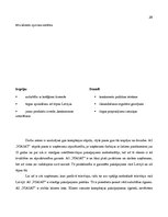 Referāts 'Personāla darba izpildes rezultatīvo rādītāju novērtēšana un karjeras izaugsmes ', 29.