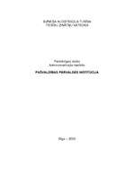 Referāts 'Pašvaldības pārvaldes institūcija', 1.