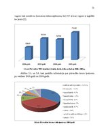 Referāts 'Pakalpojumu veidu raksturojums uzņēmumā "Latvijas Dzelzceļš"', 21.