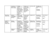 Konspekts 'Plāns rotaļnodarbībai āra vidē (2. posmam) - Akmeņi', 5.