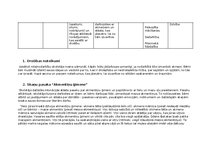 Konspekts 'Plāns rotaļnodarbībai āra vidē (2. posmam) - Akmeņi', 6.