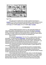 Referāts 'Latvija jaunajos laikos', 5.