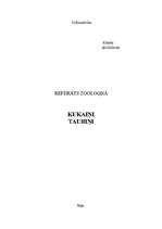 Referāts 'Tauriņi', 1.