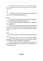 Referāts 'Tauriņi', 9.