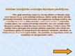 Prezentācija 'Dzīvības bioķīmiskās evolūcijas hipotēze', 7.