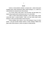 Referāts 'Kultūras jēdziens, tā būtība', 3.