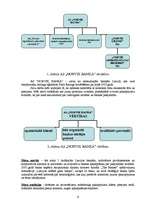 Prakses atskaite 'Biroja iekārtošana', 9.