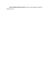 Referāts 'Uzņēmēja vidējais profils Latvijā', 4.