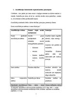 Konspekts 'Stratifikācijas funkcionālās nepieciešamības pamatojums', 1.