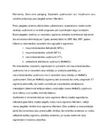 Prakses atskaite 'Prakses atskaite ZS "Vecapēni"', 12.