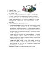 Konspekts 'Kultūras faktoru un vērtību ietekme un izmantošana mārketinga stratēģijas veidoš', 2.