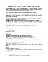 Konspekts 'Bankas bilance, aktīvi, pasīvi. Bankas pašu kapitāls', 1.