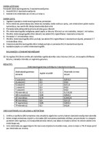 Paraugs 'Elektrokardiogrāfija', 2.