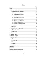 Diplomdarbs 'Mārketinga plāna izstrāde SIA "Esmana"', 4.