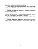 Diplomdarbs 'Mārketinga plāna izstrāde SIA "Esmana"', 6.