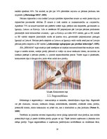 Diplomdarbs 'Mārketinga plāna izstrāde SIA "Esmana"', 25.