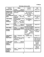 Diplomdarbs 'Mārketinga plāna izstrāde SIA "Esmana"', 65.