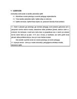 Prakses atskaite 'Pedagoģiski pētnieciskā darbība izglītības iestādē', 19.