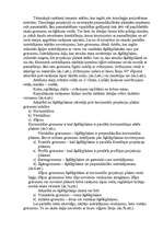 Konspekts 'Griezumi un šķēlumi', 2.