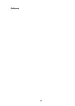 Prakses atskaite 'Prakse AS "Privat Bank"', 33.