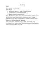 Referāts 'Vinnesta varbūtība', 2.