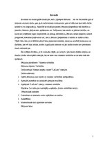 Referāts 'Vinnesta varbūtība', 5.