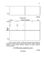 Referāts 'Uzņēmuma "Sapphire" SVID analīze un attīstības stratēģijas izstrādāšana', 11.