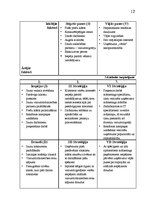Referāts 'Uzņēmuma "Sapphire" SVID analīze un attīstības stratēģijas izstrādāšana', 12.