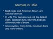 Prezentācija 'United States of America', 9.