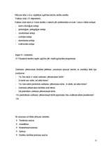 Referāts 'Vecāko klašu skolēnu zinātniski pētnieciskā darbība', 10.