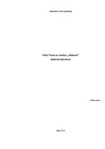 Referāts 'Velta Toma un romāns "Aldaune"', 1.