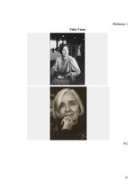 Referāts 'Velta Toma un romāns "Aldaune"', 15.