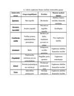 Referāts 'Rentabilitātes rādītāji un to analīze SIA "Gelato"', 15.