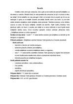 Referāts 'Smēķēšanas ietekme uz cilvēka organismu', 1.