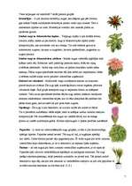 Referāts 'Telpaugu nozīme viesmīlīgas atmosfēras radīšanā', 7.