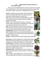 Referāts 'Telpaugu nozīme viesmīlīgas atmosfēras radīšanā', 8.